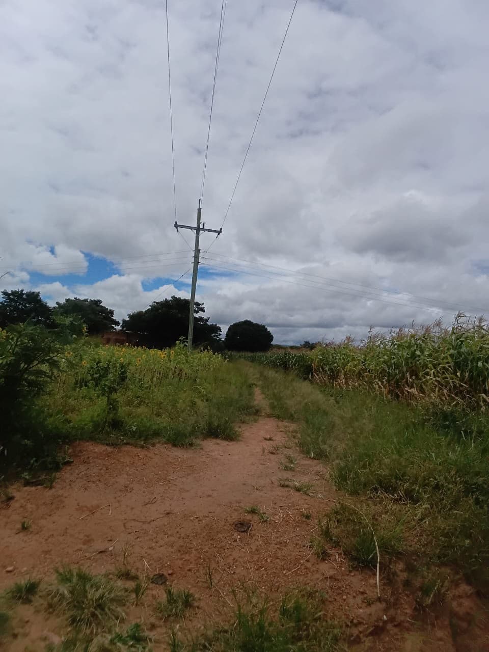 Track and utility pole beneath a cloudy sky