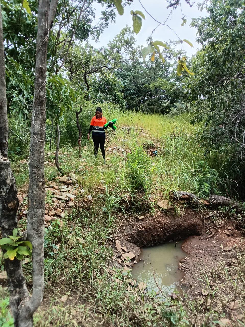Team member standing in vegetated terrain
