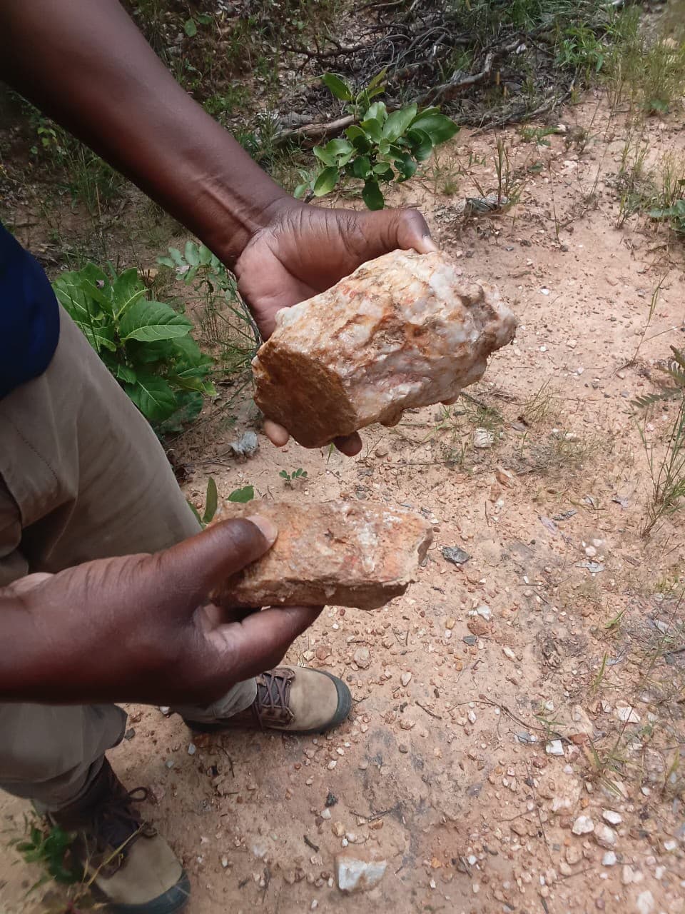 Two pieces of a broken rock held to show their exposed interior surfaces